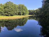 Parduodamas sklypas su pamatais ir nauju - nuotraukos Nr. 7