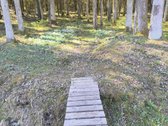 Parduodamas sklypas su pamatais ir nauju - nuotraukos Nr. 3