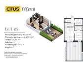 Citus Mūnai bene populiariausias projektas - nuotraukos Nr. 2