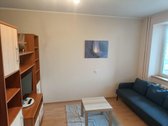 Nuomojamas Jaukus 1 Kambario Butas Žaliųjų - nuotraukos Nr. 3