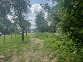 Puikus Variantas Jūsų Namų Statyboms! Sklypo - nuotraukos Nr. 2
