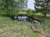 Parduodama sodyba birzu rajone iskoniu kaime - nuotraukos Nr. 16