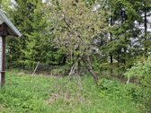 Parduodama sodyba birzu rajone iskoniu kaime - nuotraukos Nr. 20