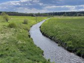 Parduodama apleista sodyba Švenčionių rajone,