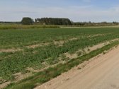Parduodamas 3 ha žemės ūkio paskirties