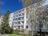 1 kambarių butas su rūsiu