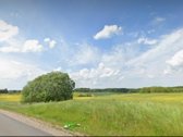 Parduodamas 2.12 ha. žemės ūkio paskirties - nuotraukos Nr. 5