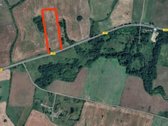 Parduodamas 2.12 ha. žemės ūkio paskirties - nuotraukos Nr. 6