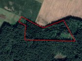 Mišrus miškas 3,82 ha Ramoniškių kaime - nuotraukos Nr. 2