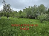 Du dideli kaštonai prie namo tampa tikru šios - nuotraukos Nr. 23