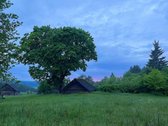 Namukas prie Vilkokšnio ežero pabėgimui nuo: - nuotraukos Nr. 7