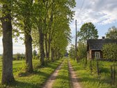 Parduodama Autentiška Dzūkijos Sodyba Varėnos