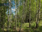 Parduodamas Erdvus Ir Vaizdingas Sklypas - nuotraukos Nr. 5