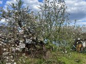 Parduodamas Jaukus Ir Kokybiškas Rąstinis - nuotraukos Nr. 27