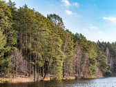 Projektas prie Balžio ežero – tai 15-OS - nuotraukos Nr. 12