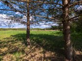 Užugriovio kaime parduodamas 3,1 ha žemės - nuotraukos Nr. 23