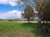 Užugriovio kaime parduodamas 3,1 ha žemės - nuotraukos Nr. 17