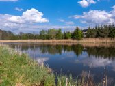 Užugriovio kaime parduodamas 3,1 ha žemės - nuotraukos Nr. 18