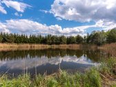Užugriovio kaime parduodamas 3,1 ha žemės - nuotraukos Nr. 19