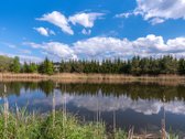 Užugriovio kaime parduodamas 3,1 ha žemės - nuotraukos Nr. 20