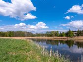 Užugriovio kaime parduodamas 3,1 ha žemės - nuotraukos Nr. 21