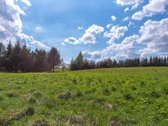 Užugriovio kaime parduodamas 3,1 ha žemės - nuotraukos Nr. 14