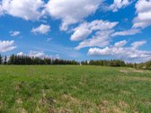 Užugriovio kaime parduodamas 3,1 ha žemės - nuotraukos Nr. 13