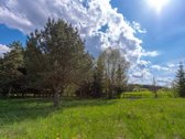 Užugriovio kaime parduodamas 3,1 ha žemės - nuotraukos Nr. 22