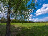 Užugriovio kaime parduodamas 3,1 ha žemės - nuotraukos Nr. 25