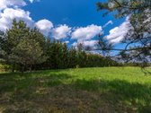 Užugriovio kaime parduodamas 3,1 ha žemės - nuotraukos Nr. 26