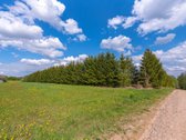 Užugriovio kaime parduodamas 3,1 ha žemės - nuotraukos Nr. 29
