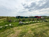 Parduodamas 3,2844 ha žemės ūkio paskirties - nuotraukos Nr. 7