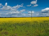 Kėdainių raj., Sviliukų k., Beržų g. 49 - nuotraukos Nr. 4