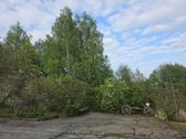 Erdvus Namas Gamtos Apsuptyje Su 39 A Sklypu, - nuotraukos Nr. 7