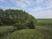 Erdvus Namas Gamtos Apsuptyje Su 39 A Sklypu, - nuotraukos Nr. 8