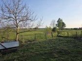 Erdvus Namas Gamtos Apsuptyje Su 39 A Sklypu, - nuotraukos Nr. 15