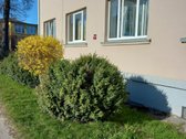 Daugiabutis namas yra 10 butų, didelis namui - nuotraukos Nr. 2