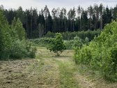 Nusprendėme “paleisti , perduoti į kitas - nuotraukos Nr. 16