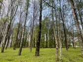 Parduodamas tvarkingas, šviesus 2 kambarių - nuotraukos Nr. 17