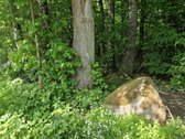 Parduodu 6a sodo sklypą. - nuotraukos Nr. 3