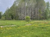 Parduodama kraštinė sodyba ramiame Šilinės - nuotraukos Nr. 7