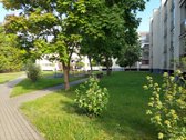 Senamiesčio centre, miegamojoje zonoje - nuotraukos Nr. 5