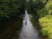 Namų valda. Labai perspektyvi vieta, ramūs