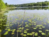 Žemaitkiemio centre parduodamas sklypas - nuotraukos Nr. 2