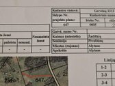 -Sklypo plotas2,5ha - nuotraukos Nr. 2