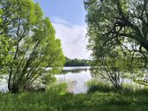 Žemaitkiemio centre parduodamas sklypas - nuotraukos Nr. 7