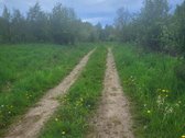 -Sklypo plotas2,5ha - nuotraukos Nr. 3