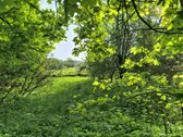 Žemaitkiemio centre parduodamas sklypas - nuotraukos Nr. 16