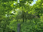 Žemaitkiemio centre parduodamas sklypas - nuotraukos Nr. 17
