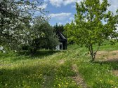 Ramioje Musės upės kilpoje, nedideliame - nuotraukos Nr. 22